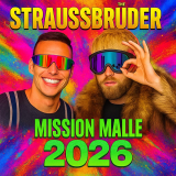 StraussBrüder - Winterdienst